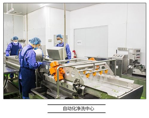 直擊工廠溯源 咚吃保證食品安全性