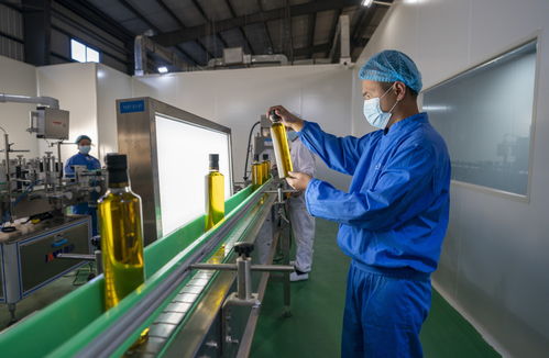 云南 核桃油提取技術(shù)取得新突破
